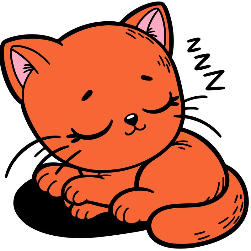 sleepy kitty