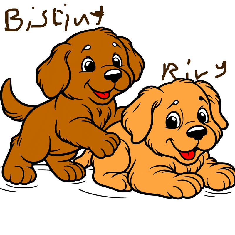 two golden retriever puppies playing