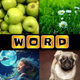 Word Puzzle - 4 pics 1 word
