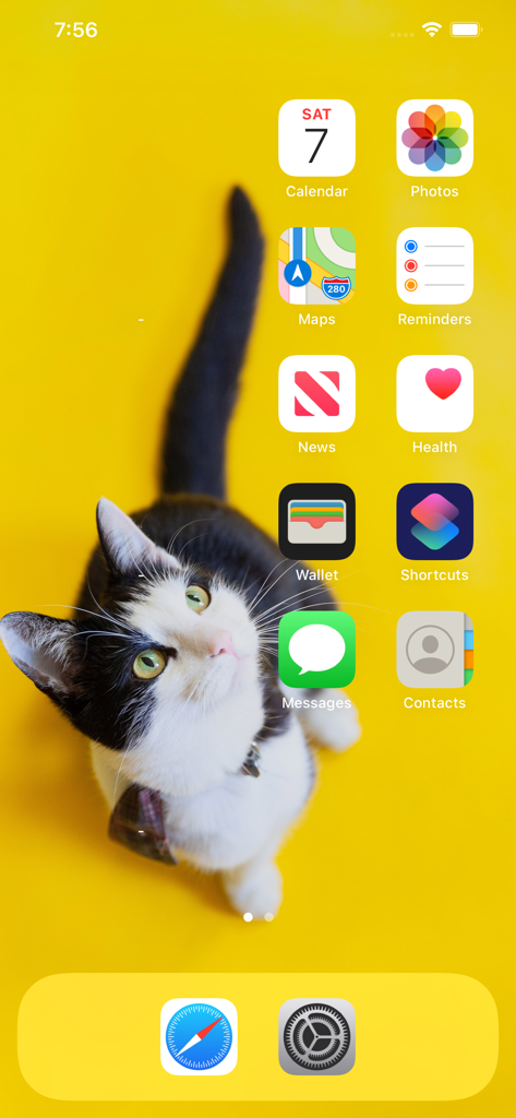 ・ (Yidget) - 고양이 이미지가 있는 노란색 배경과 이미지를 가리지 않는 투명 위젯이 있는 iPhone 홈 화면.