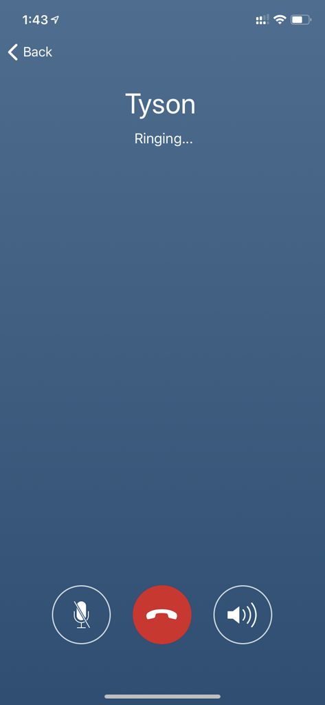 CloudVeil Messenger - CloudVeil Messenger outgoing voice call screen showing Tyson ringing