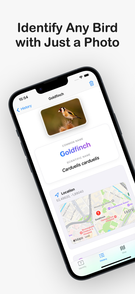 Bird Feather Identification - Bird identification interface showing a Goldfinch result with its scientific name and sighting location on a map