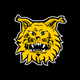 Tampereen Ilves