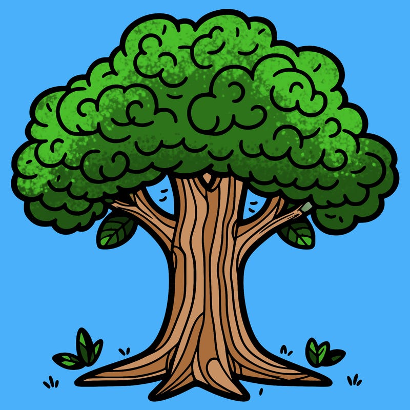 plain tree with big trunks and leaves