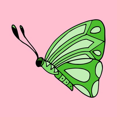 animals_02