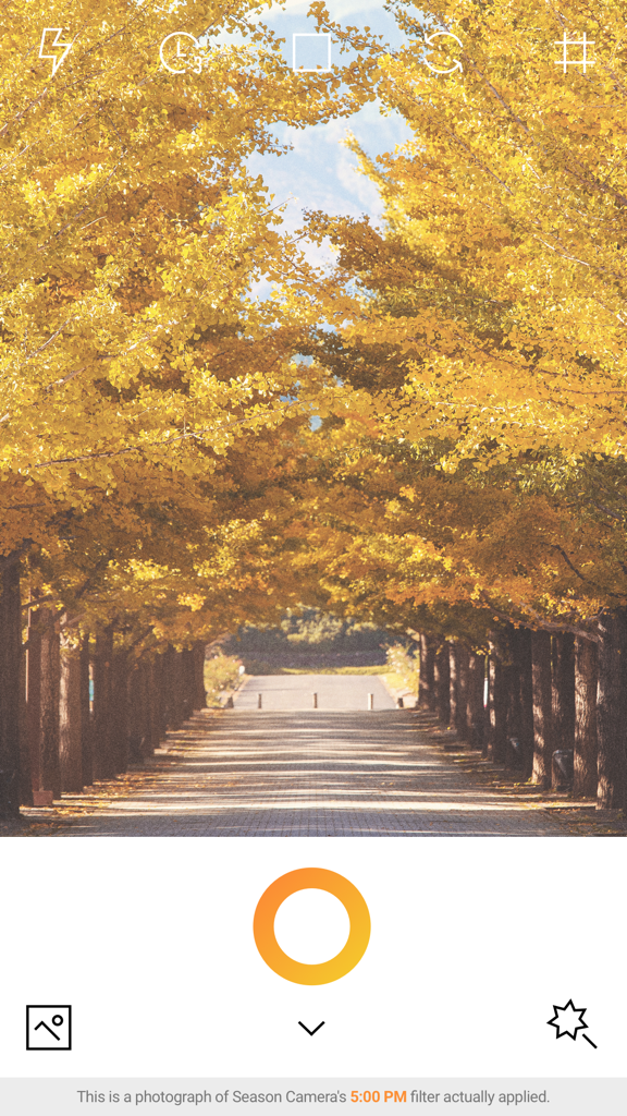 A mobile camera interface showing a path lined with yellow autumn trees using a warm color filter