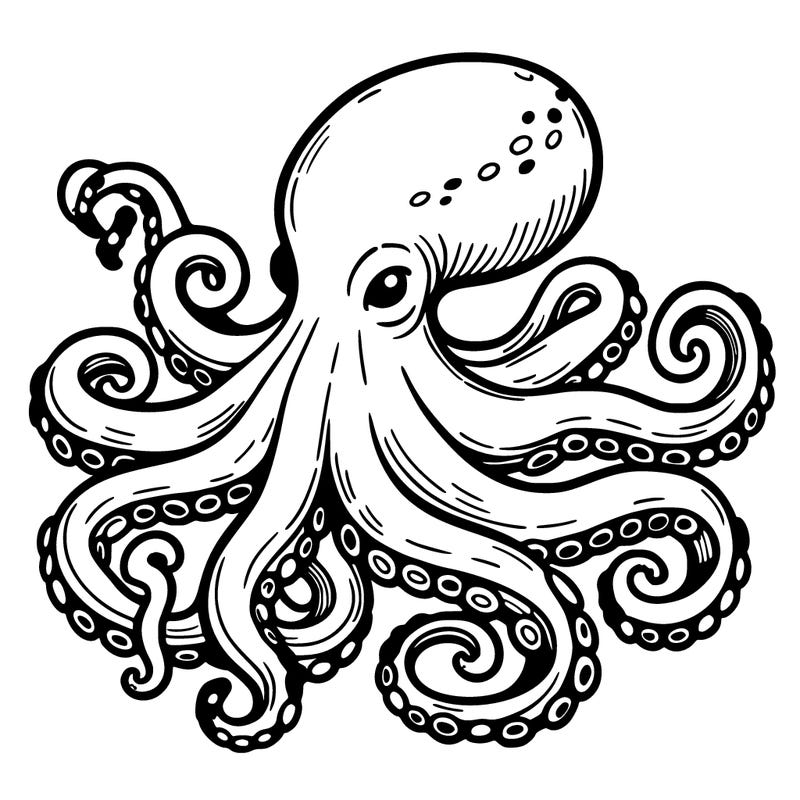 octopus