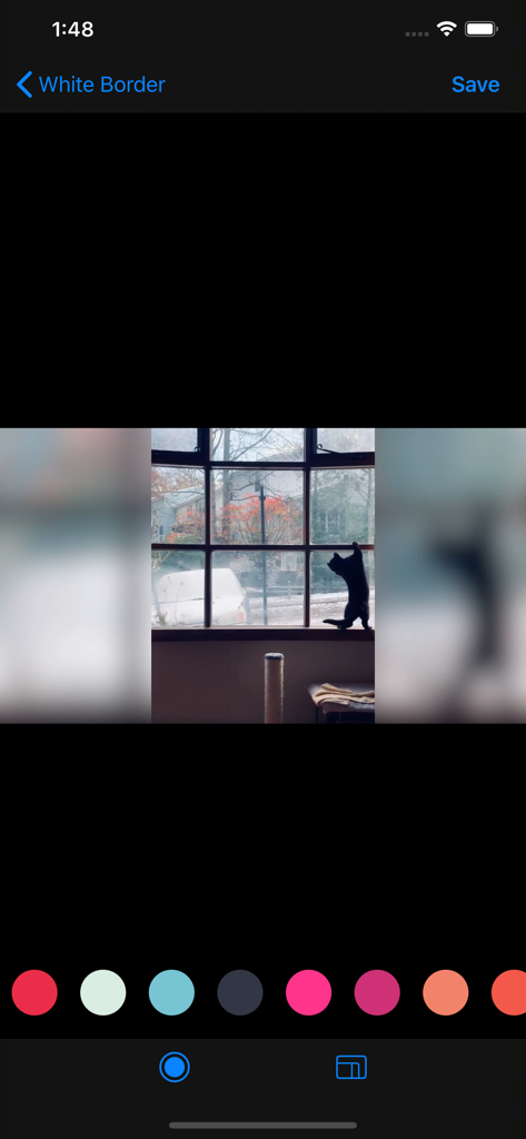 White Border app screen showing a photo being edited with blurred side margins and a color selection palette at the bottom.