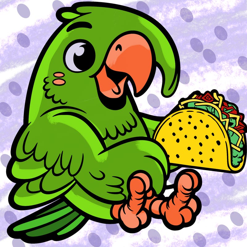 parrot eating taco