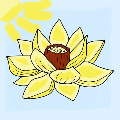 flowers_08