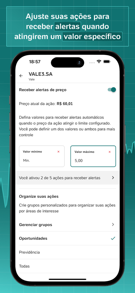 Captura de tela do aplicativo UOL Cotacoes para iPhone mostrando as configurações de alerta de preço para ações brasileiras.