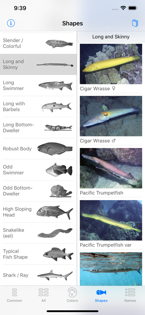 Interface of the Scuba Fish Hawaii app showing fish categorized by their long and skinny body shape