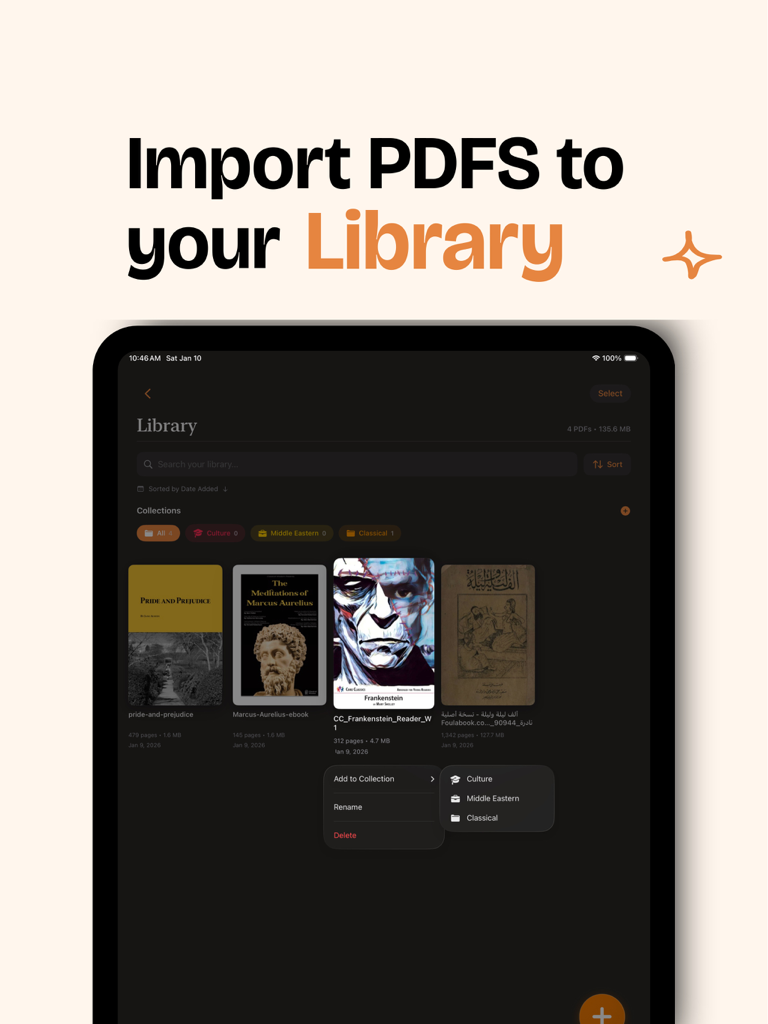 Fulora: Reader & Book Tracker - Fulora iPad app interface showing imported PDF books and library collection categories