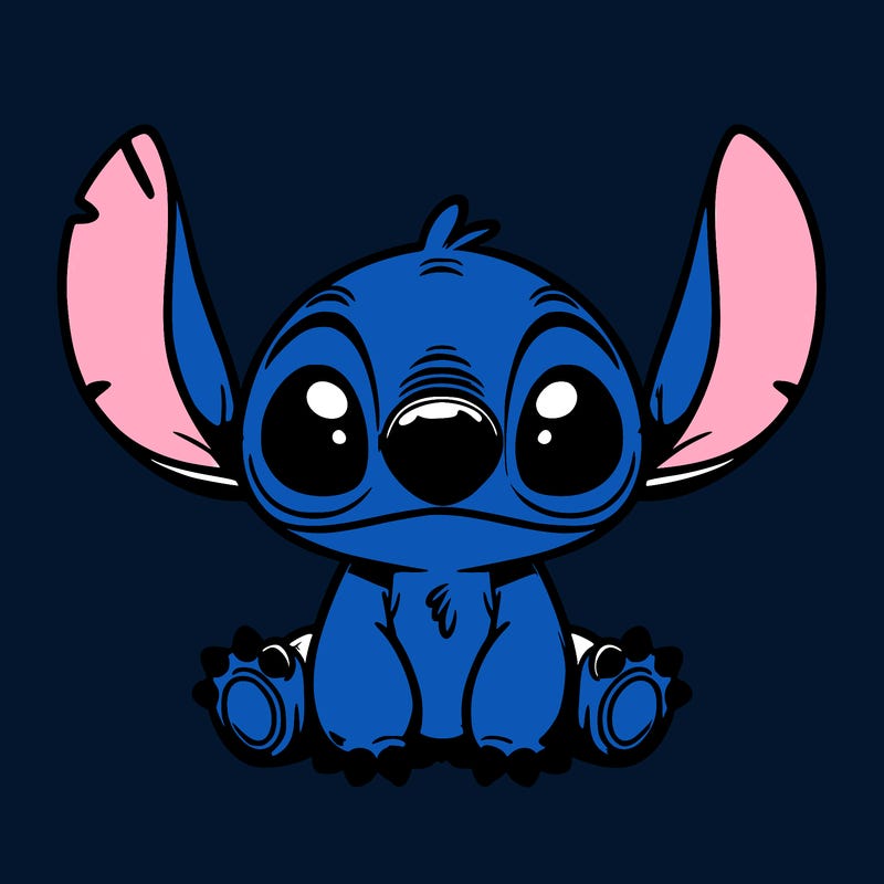 cute stitch