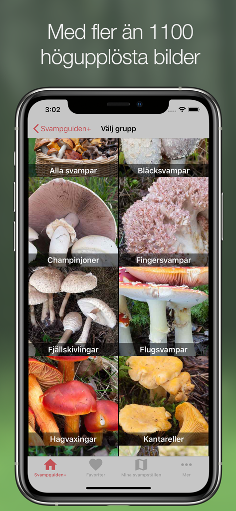 Svampguiden+ - Smartphone screen of Svampguiden plus app displaying a grid of mushroom categories with high quality photos