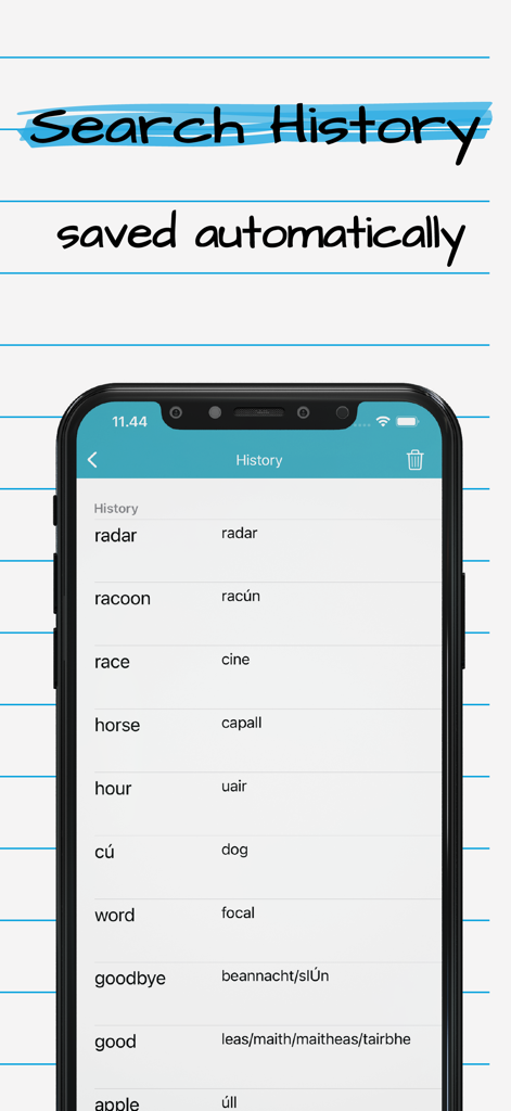 A screenshot of the Search History screen showing a list of English words like horse and hour with their Irish translations.