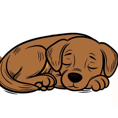 a dog sleeping