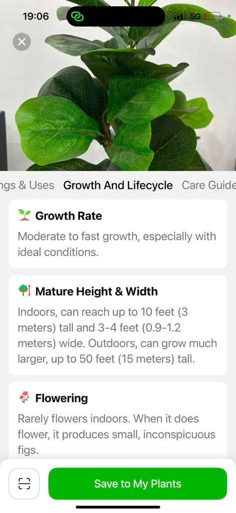 Plant Identifier with AI - Información detallada sobre el crecimiento y ciclo de vida de una planta en la aplicación Plant Identifier.