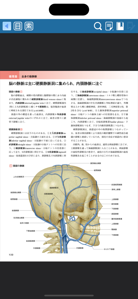 Detailed anatomical diagram of the human skull and venous system with Japanese labels in a medical app