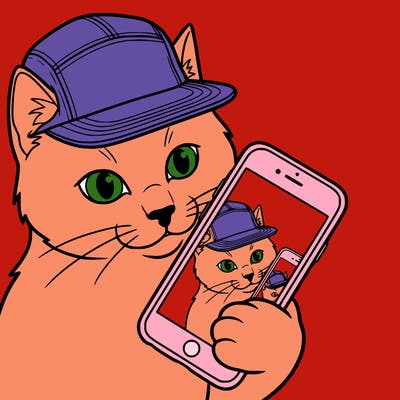cat with 5 panel making a selfie