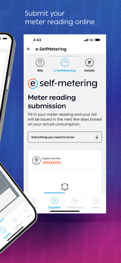 myΔΕΗ - The e-SelfMetering screen of the myDEI app for online meter reading submission