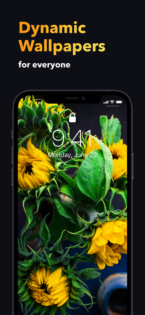 Lebendiger dynamischer Sonnenblumen-Hintergrund auf einem iPhone-Sperrbildschirm