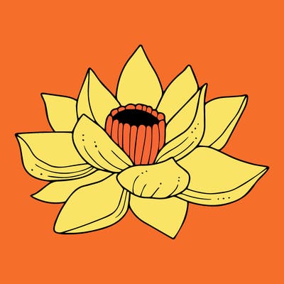 flowers_08