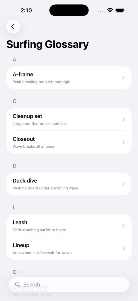Surf's App: Windsurf, Kitesurf - サーフアプリのサーフィン用語集画面。Aフレームやダックダイブなどの一般的な用語の定義が表示されています。
