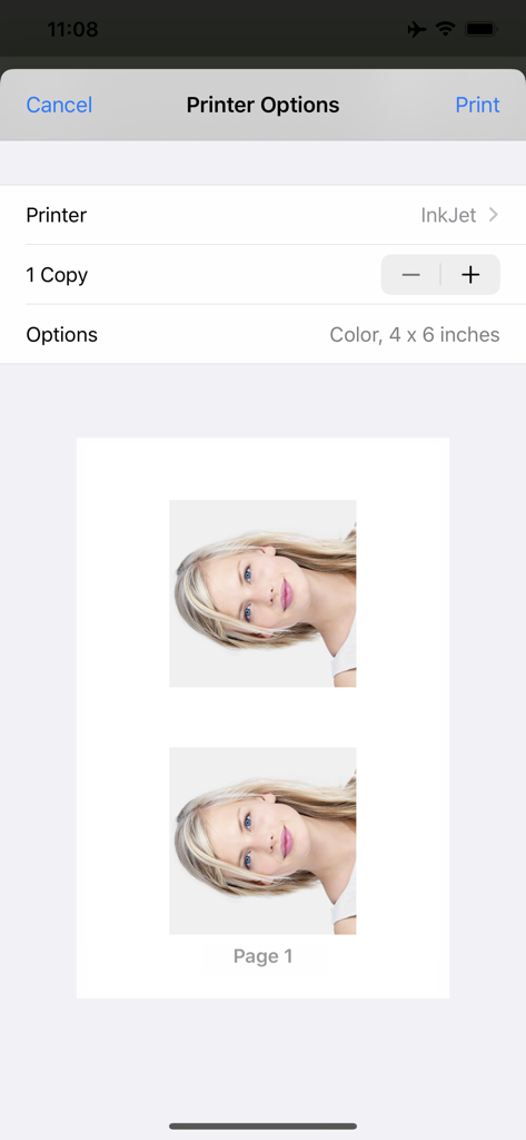 Interface mostrando opções de impressora e uma prévia de duas fotos de passaporte prontas para impressão em um papel de seis por quatro polegadas