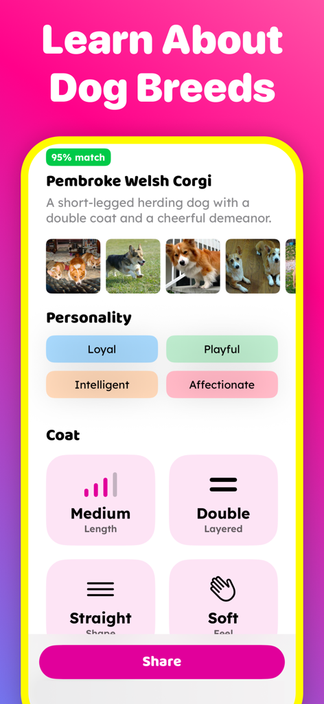 Dog & Pet Translator: DogCam - Bildschirm aus der DogCam App, der die Rassenidentifikationsergebnisse für einen Pembroke Welsh Corgi mit Persönlichkeits- und Fellinformationen zeigt