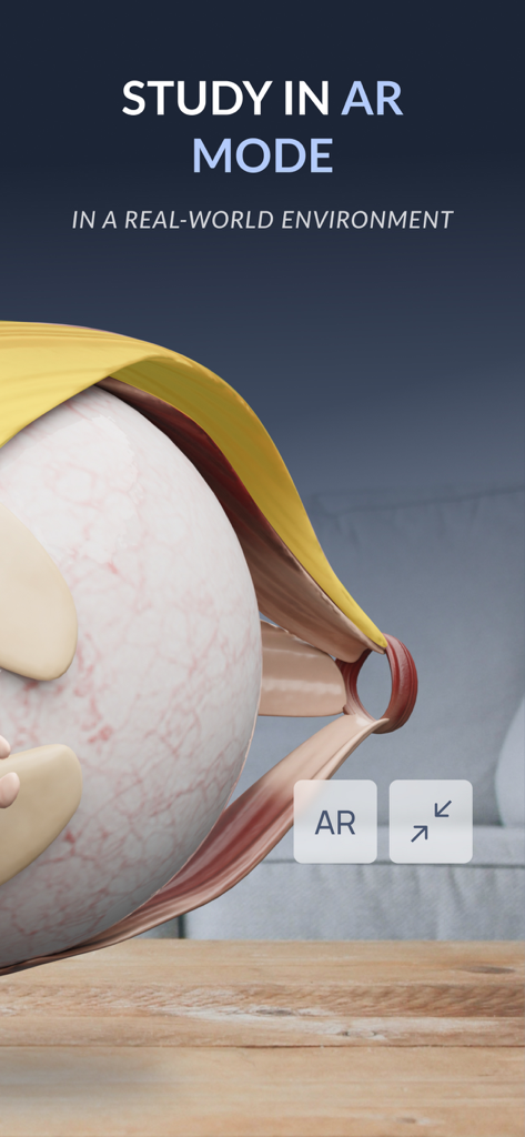VOKA 3D Anatomy & Pathology - 3D human eye model displayed in augmented reality mode on a table surface