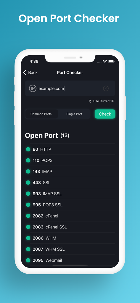 Pantalla de la app NetScan que muestra los puertos de red abiertos para un dominio con indicadores de estado