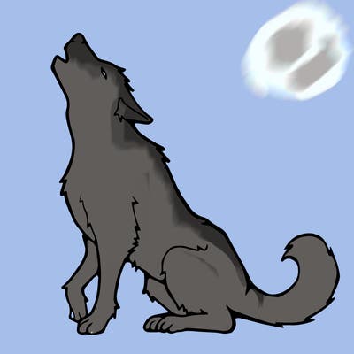 animals_36