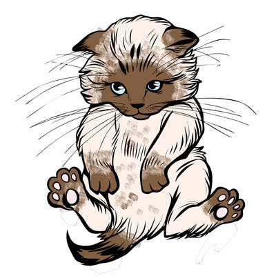animals_20