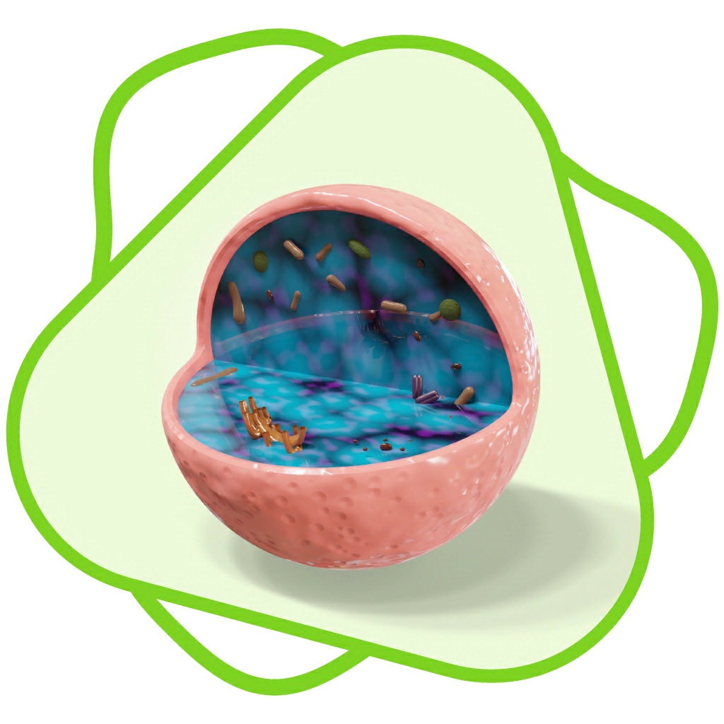 CloudLabs Cell Types - Education App | MWM