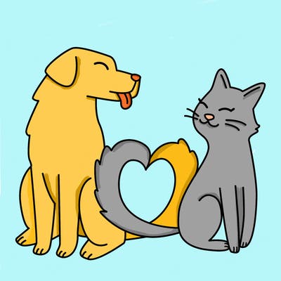 animals_22