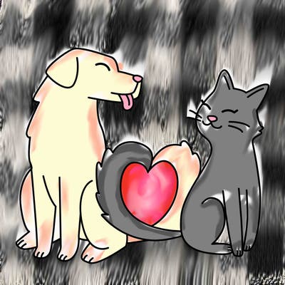 animals_22