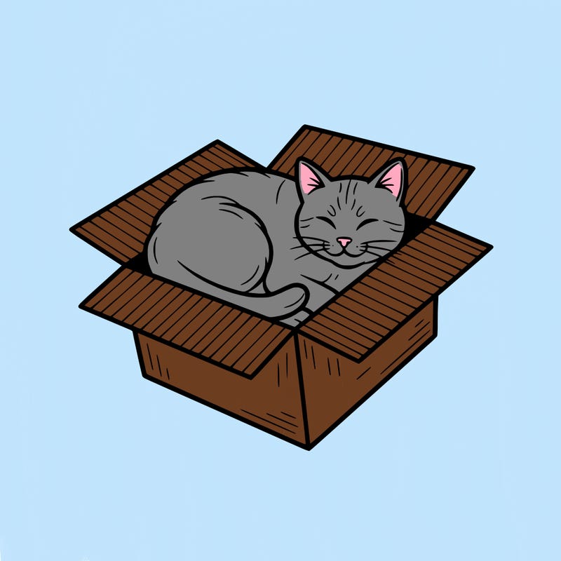 cat in box