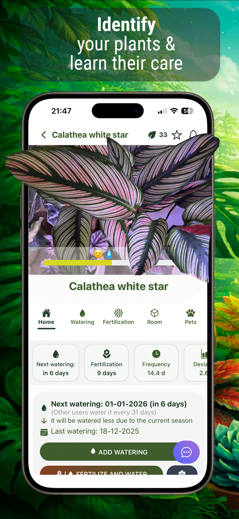 Plant Watering: Smart Reminder - Pantalla de aplicación móvil que muestra el perfil de una Calathea white star con horarios de riego y fertilización