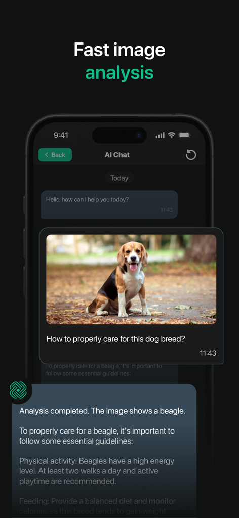 El asistente de chat de IA ChatCom 6 realiza un análisis rápido de imágenes en una foto de un perro beagle.