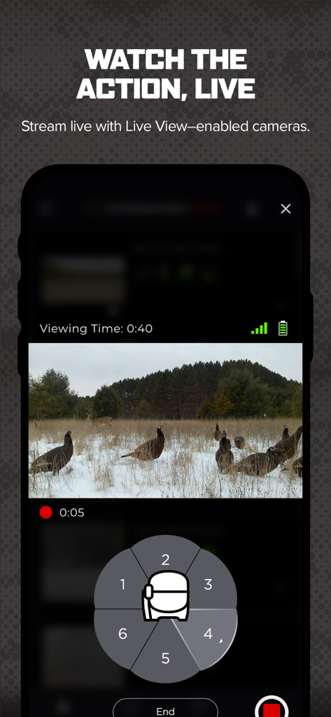 Smartphone interface of the Command Pro app displaying a live video stream of wild turkeys in a snowy field