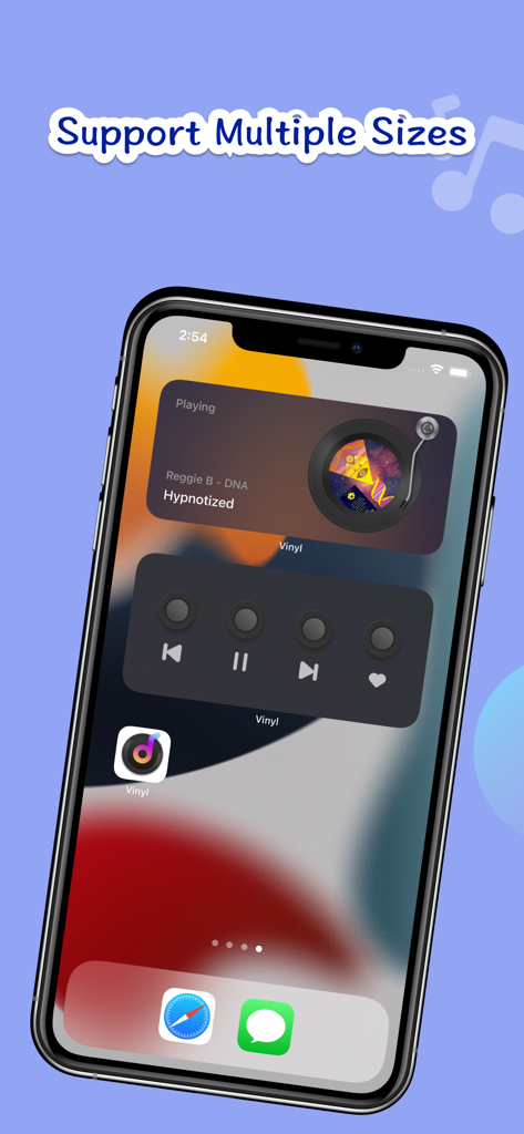 Vinyl Widget- Vinyl Record App - Widgets esthétiques de lecteur de musique vinyle dans différentes tailles sur l'écran d'accueil d'un iPhone