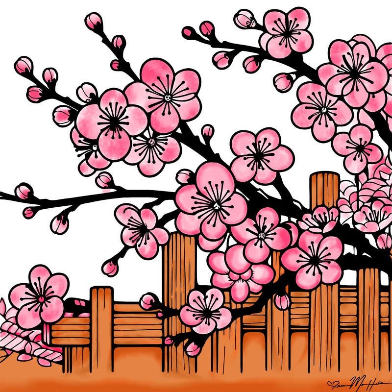 japan cherry blossom