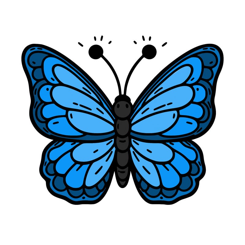 butterfly