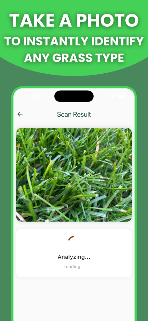 Grass Identifier: AI Scan - Smartphone screen showing the grass identifier app scanning a lawn photo
