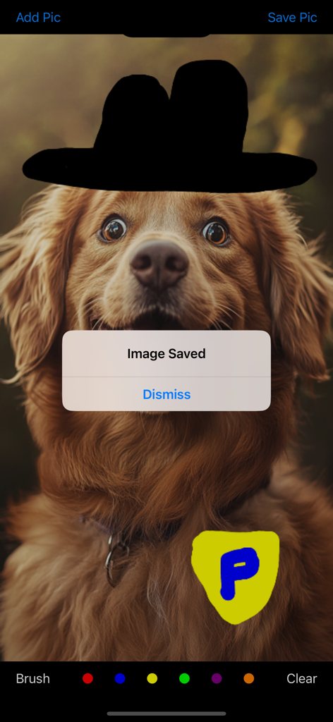 Draw On My Pics - Un perro con un sombrero dibujado a mano y una notificación emergente de imagen guardada en la aplicación Draw On My Pics.