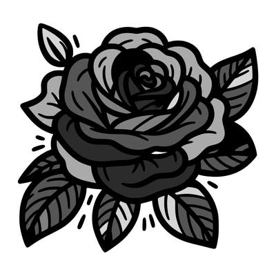 beautiful rose