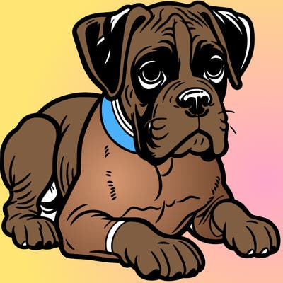 boxer dog