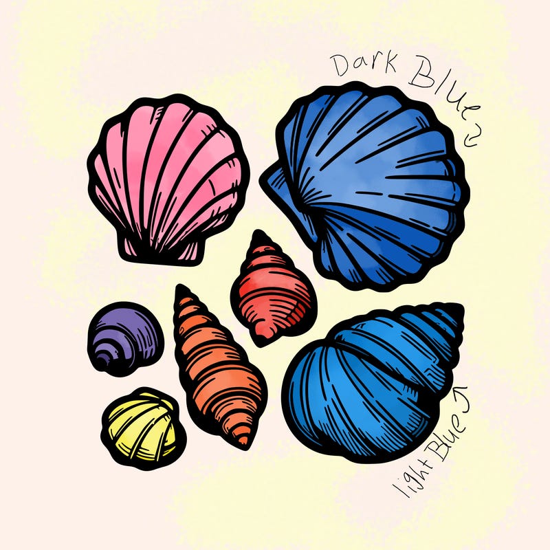 shells