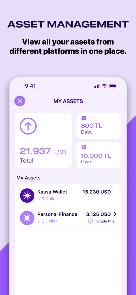 Kassa app asset management screen showing total balance debt and financial assets
